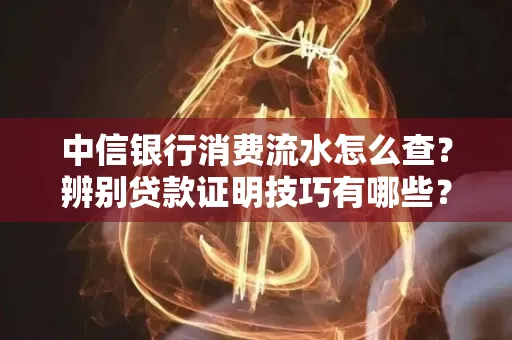 中信银行消费流水怎么查？辨别贷款证明技巧有哪些？